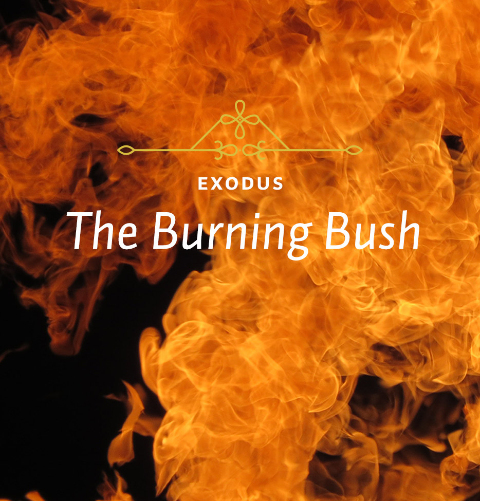 The Burning Bush