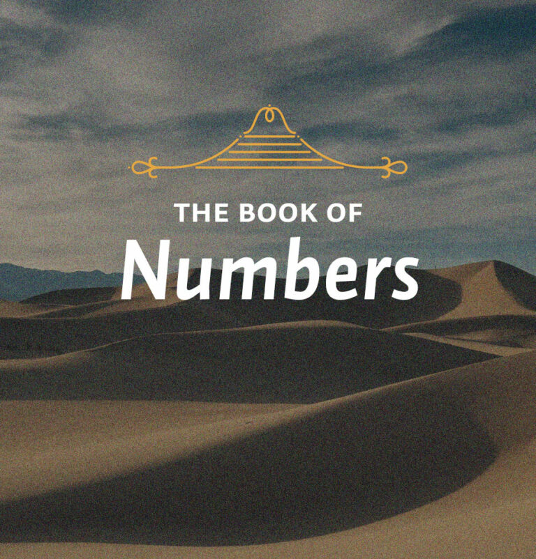 The Book of Numbers