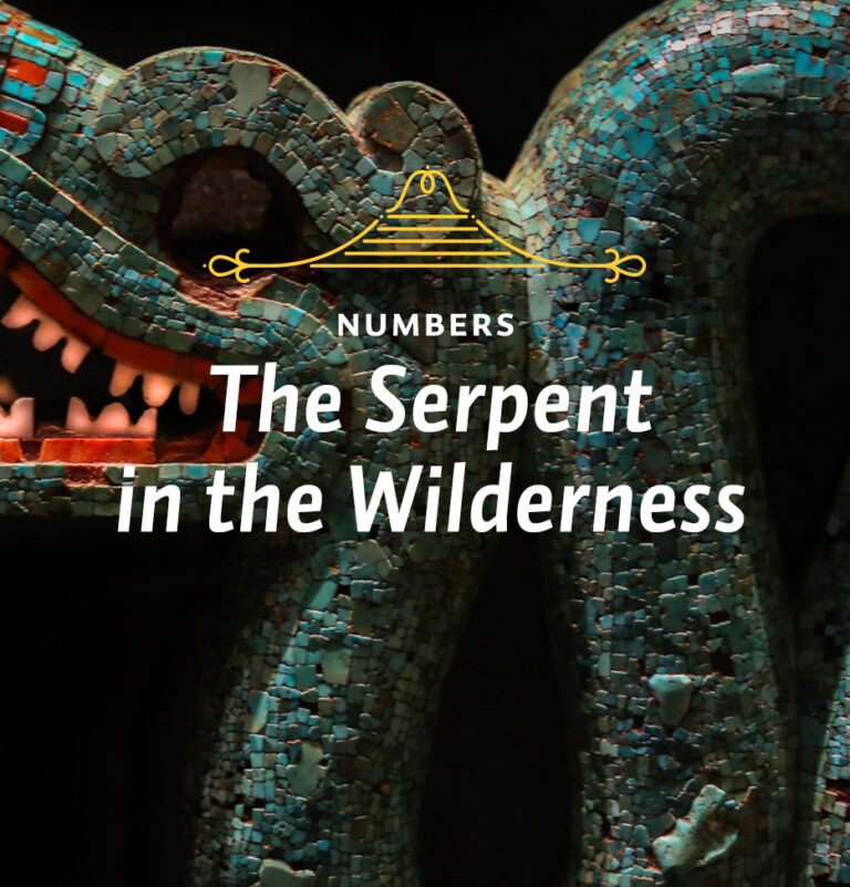 Serpent in the Wilderness