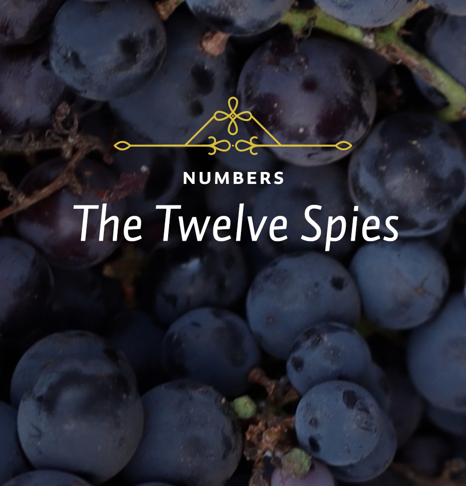 The Twelve Spies