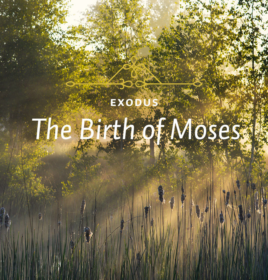 The Birth of Moses