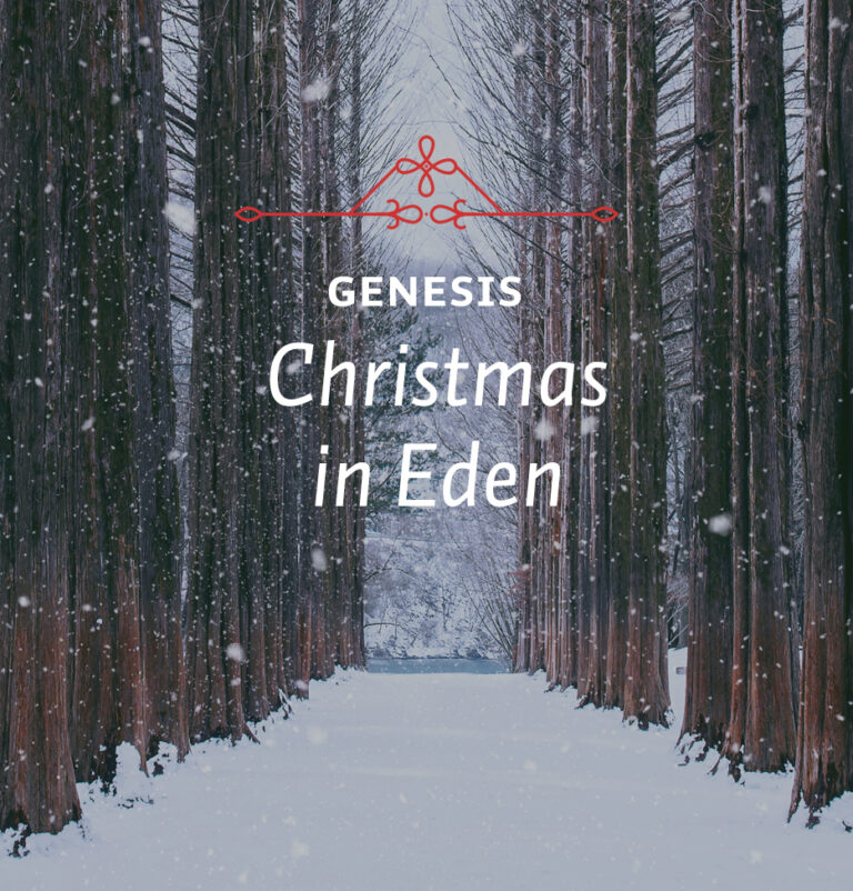 Christmas in Eden
