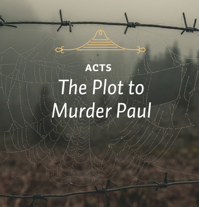 The Plot To Murder Paul